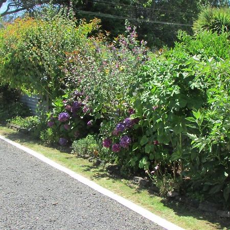 Apartmán Cozy Haven - Waihi Exteriér fotografie