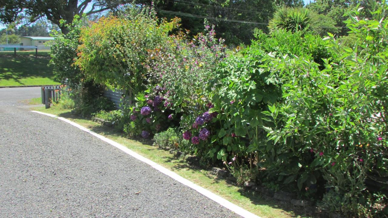 Apartmán Cozy Haven - Waihi Exteriér fotografie