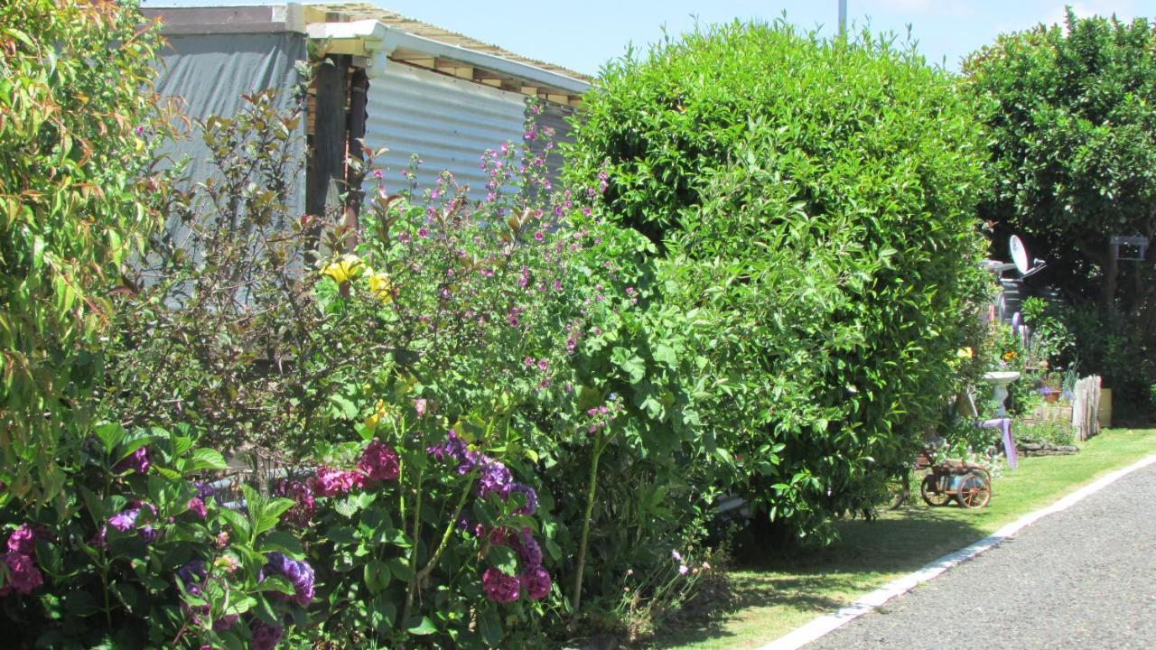 Apartmán Cozy Haven - Waihi Exteriér fotografie